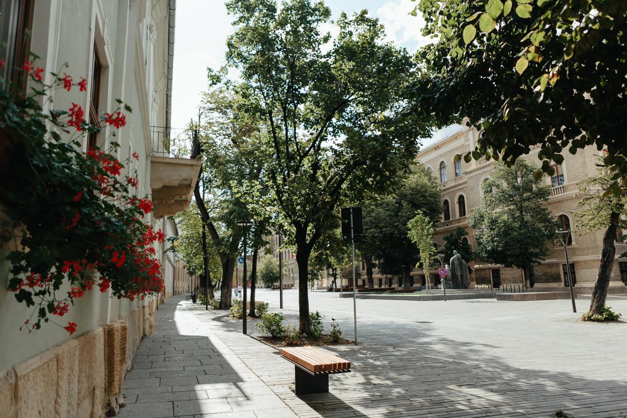 Contessa Central Apartment Cluj-Napoca Extérieur photo