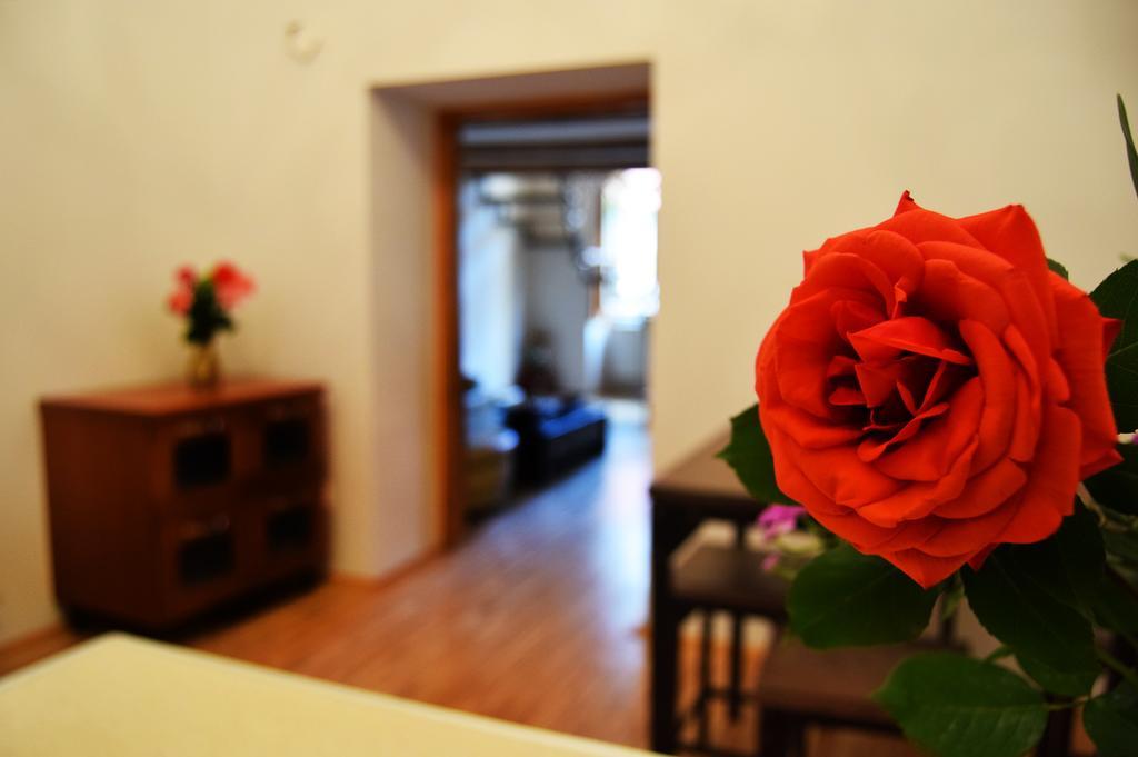 Contessa Central Apartment Cluj-Napoca Extérieur photo